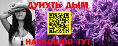 прущие крисы Гай
