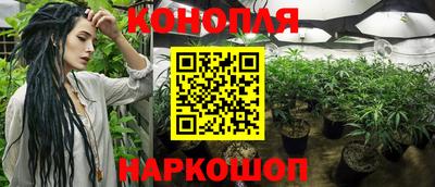 прущие крисы Гай