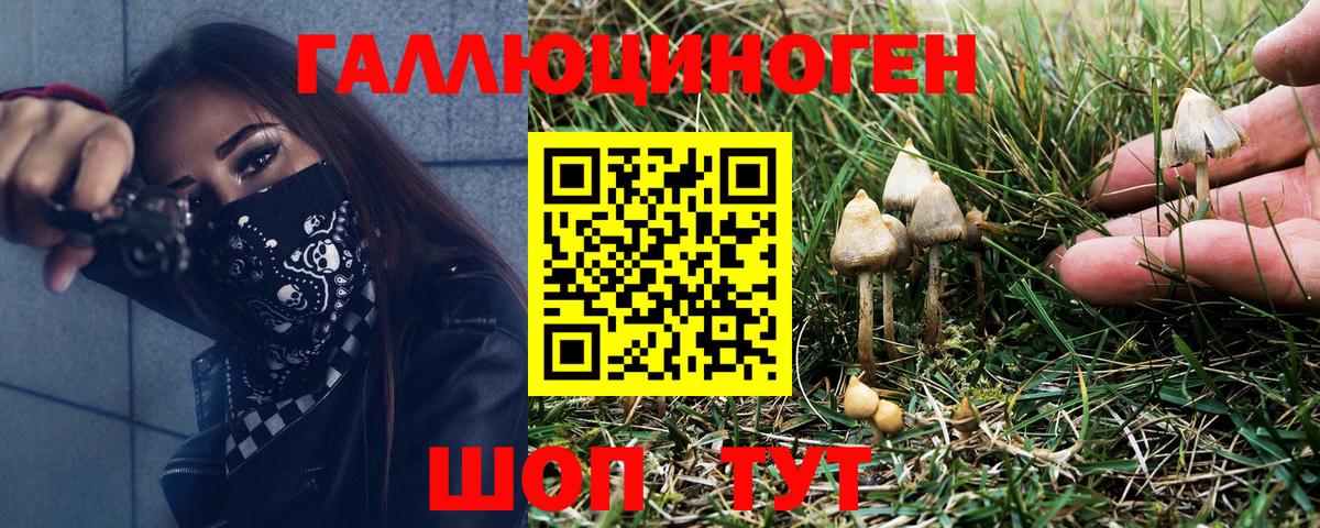 Галлюциногенные грибы GOLDEN TEACHER Шахты