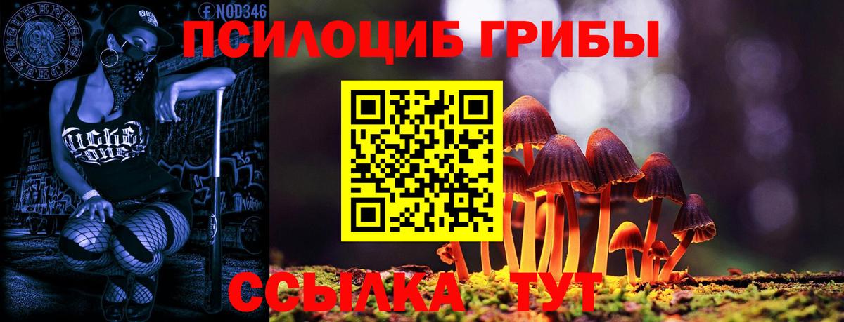 Шахты  Псилоцибиновые грибы Cubensis  Вход с VPN 